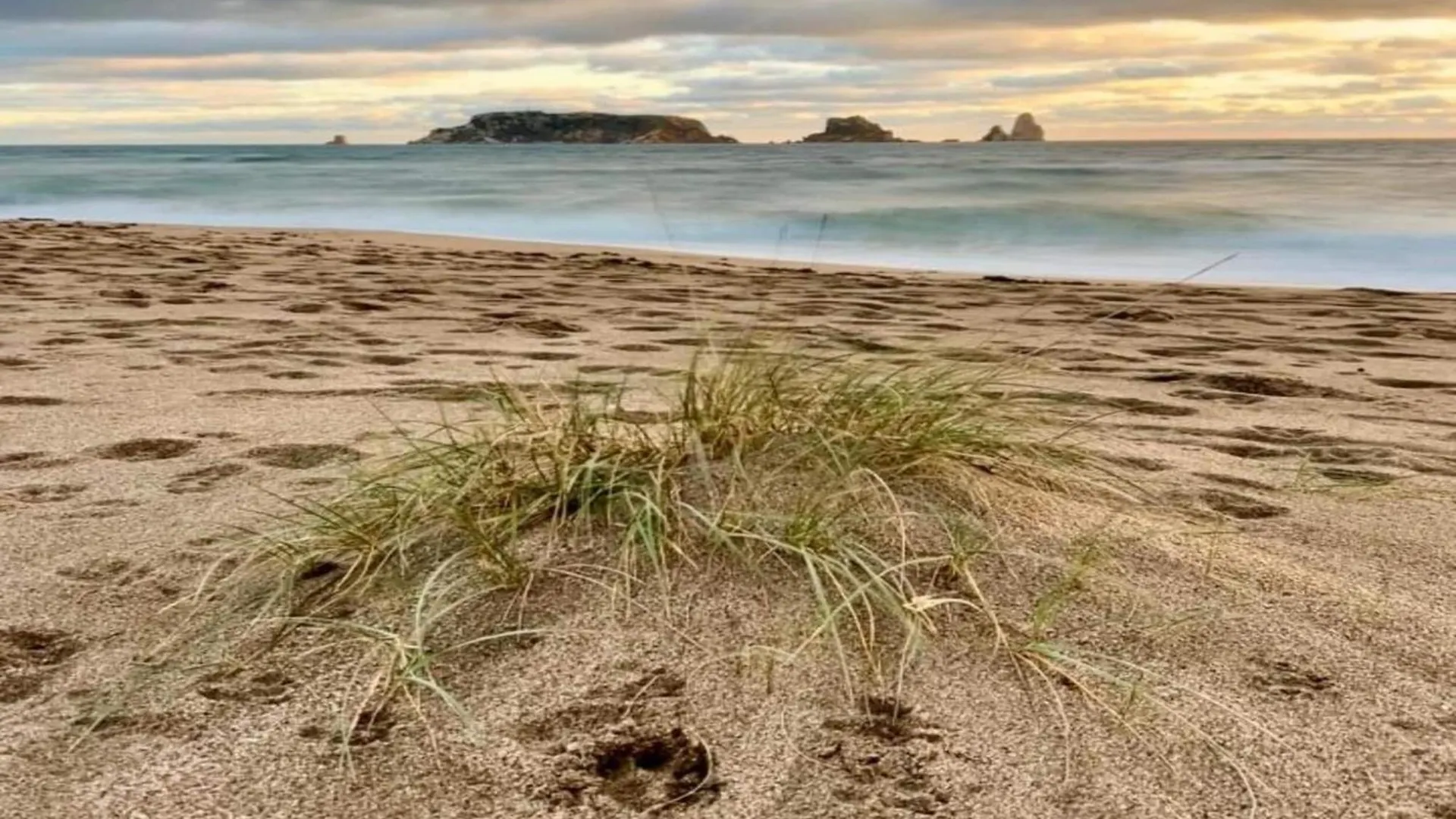 Apartamento Illa Mar D'Or 239 L'Estartit España
